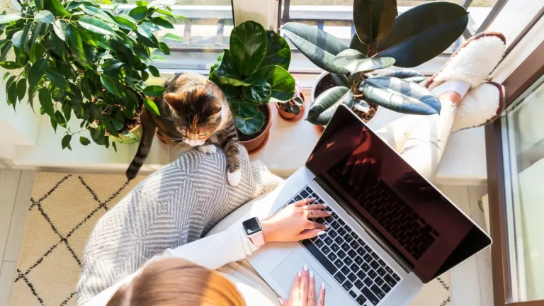 Read more about the article Mau Sewa Laptop Candi Sidoarjo? Harga Jelas dan Fleksibel